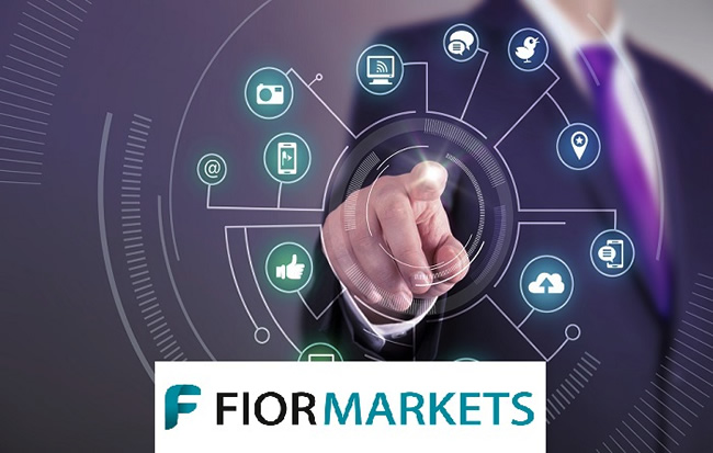 Fior Markets: к 2026 году мировой рынок автошин достигнет $618,49 миллиардов